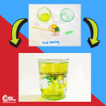 Dr. Seuss STEM Preschool Science Experiments Montessori Worksheets (4-6 Year Olds)
