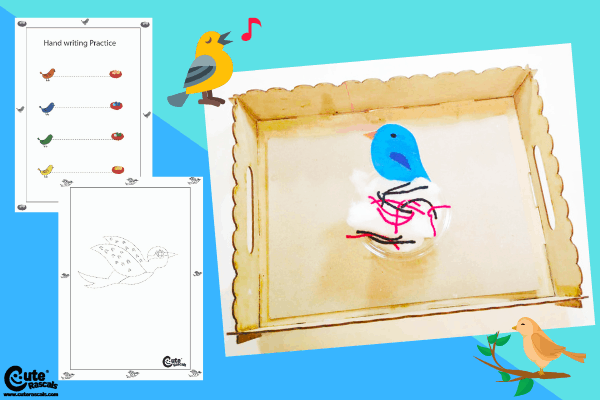 Feeding the Bird Spring Activities for Preschoolers Montessori Worksheets (4-6 Year Olds)