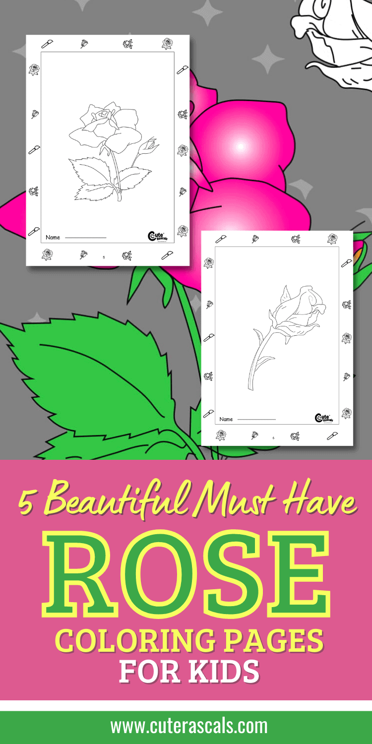 5 Beautiful Must Have Rose Coloring Pages for Kids