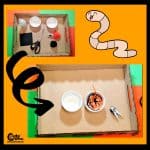 Move the Worms for Kids Motor Skills Montessori Worksheets (4-6 Year Olds)